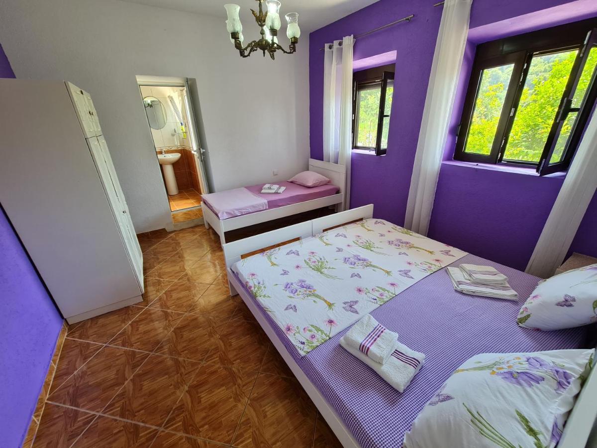 Apartment Dragone Ulcinj Eksteriør billede