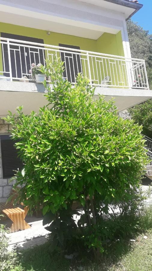 Apartment Dragone Ulcinj Eksteriør billede