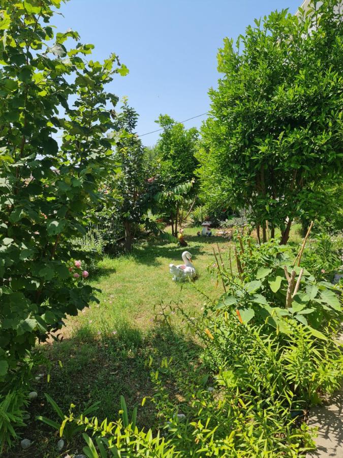 Apartment Dragone Ulcinj Eksteriør billede
