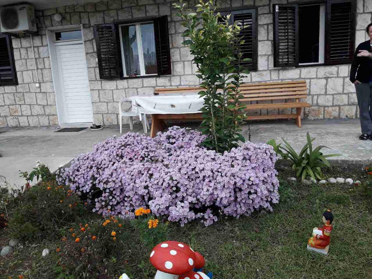 Apartment Dragone Ulcinj Eksteriør billede